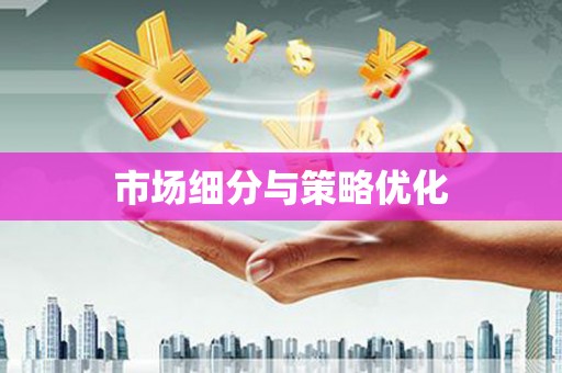 兰屿市场细分与策略优化