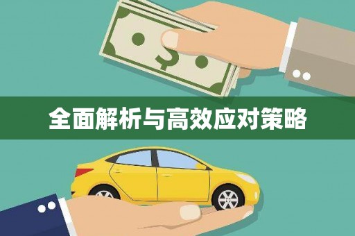昌平全面解析与高效应对策略