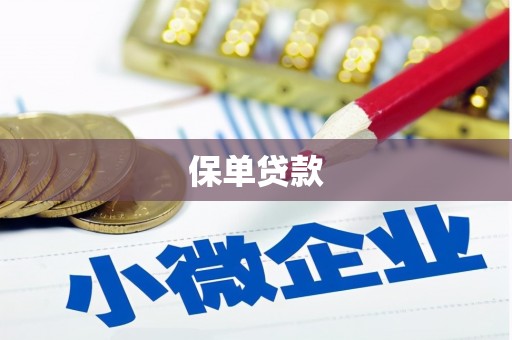 响水保单贷款 响水保单贷款